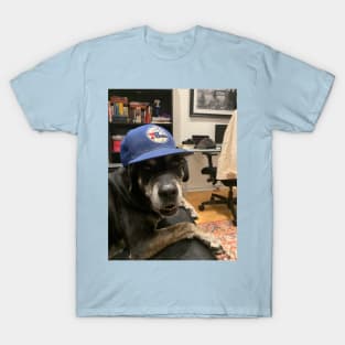 LILY DOG COPYPASTA T-Shirt